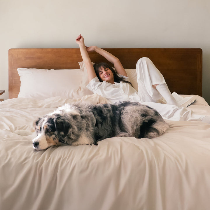 FurAway Comfort Bundle